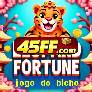 jogo do bicho crash bingo